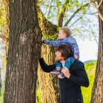 Quand et pourquoi faire appel à un professionnel pour l&rsquo;entretien de vos arbres ?