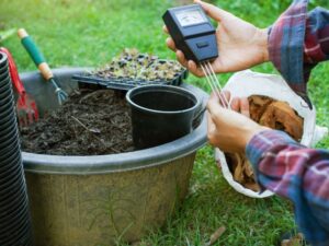 Guide complet pour un pH de sol équilibré