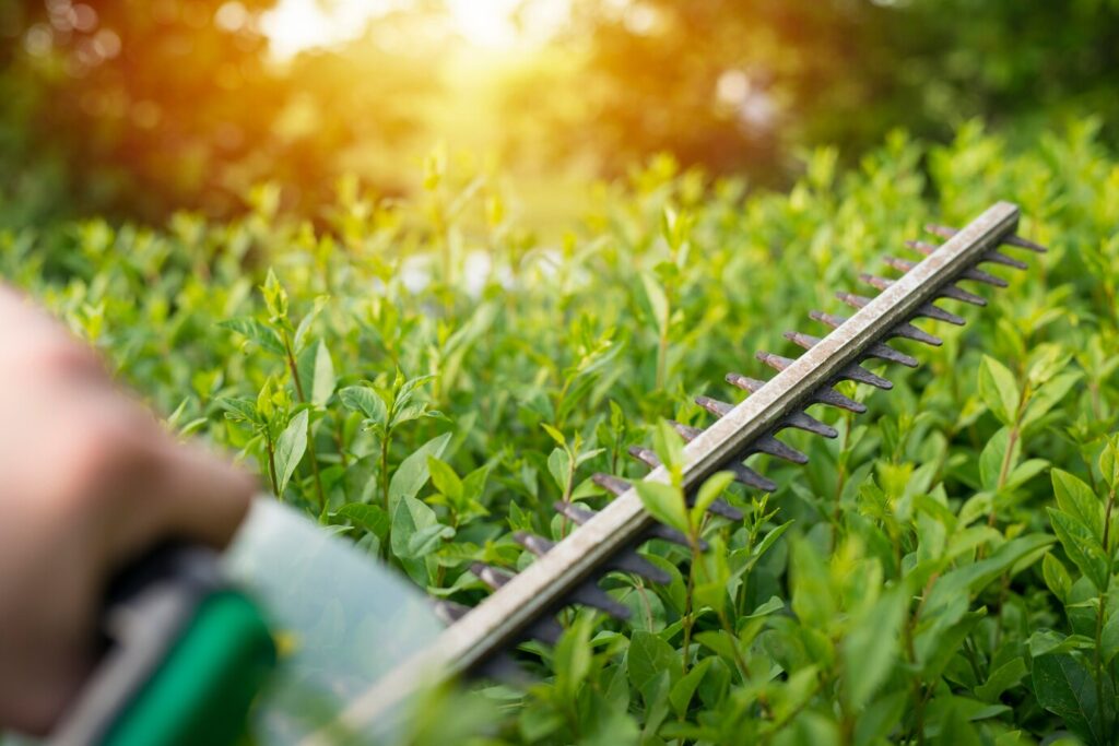 6 outils indispensables pour l'entretien de votre jardin en hiver
