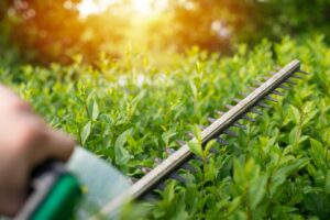 6 outils indispensables pour l'entretien de votre jardin en hiver