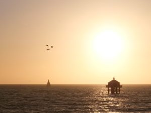 découvrez tout sur la maison sur pilotis, une construction traditionnelle érigée au-dessus de l'eau ou du sol, idéale pour protéger contre les inondations et profiter d'un cadre naturel unique.
