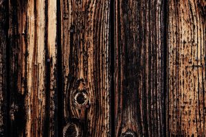 découvrez tout sur le woodborer, l'insecte xylophage qui endommage le bois. apprenez à le reconnaître, prévenir les infestations et protéger vos structures en bois efficacement.