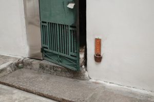 découvrez nos portes accordéon alliant design et fonctionnalité, idéales pour optimiser l'espace et apporter une touche moderne à votre intérieur.