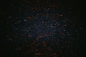 découvrez tout ce qu'il faut savoir sur la moisissure noire : causes, dangers pour la santé et méthodes efficaces pour la détecter et l'éliminer de votre maison.