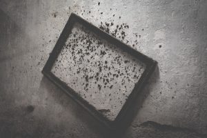 découvrez tout ce que vous devez savoir sur la moisissure noire : identification, dangers pour la santé, prévention et solutions efficaces pour s'en débarrasser.