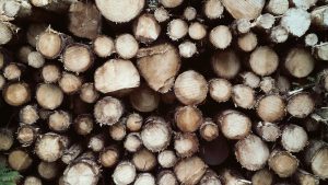 isolation en liège : solution écologique, naturelle et efficace pour améliorer le confort thermique et acoustique de votre habitat.