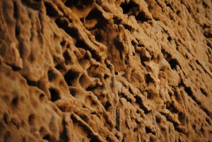 découvrez l'isolation en liège, une solution écologique et efficace pour améliorer le confort thermique et acoustique de votre habitat tout en respectant l'environnement.