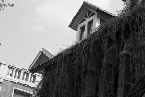 guide complet pour l'extension de maison : conseils, étapes clés et astuces pour agrandir votre espace de vie en toute sérénité.