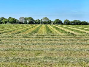 découvrez tout sur le concept de « land » : définitions, types de terrains, utilisations et importance dans différents domaines.