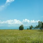 découvrez tout sur le concept de 'land' : définitions, usages et significations en français pour mieux comprendre ce terme essentiel.