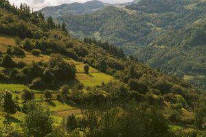 découvrez tout sur le thème de la terre, ses caractéristiques, son importance et ses différentes utilisations dans notre quotidien.
