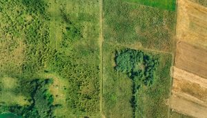 découvrez tout sur le concept de 'land' : définitions, utilisations et significations dans différents contextes.