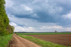 découvrez tout ce qu'il faut savoir sur la superficie des terrains, incluant les mesures, les usages et l'importance de la gestion de l'espace foncier.