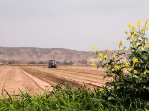 découvrez des informations détaillées sur la superficie des terrains, y compris les mesures, l'utilisation et l'importance de la surface terrestre dans divers contextes.