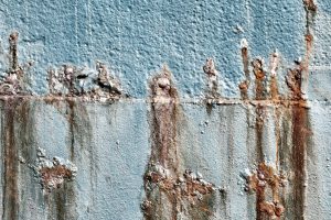 découvrez nos solutions efficaces pour le traitement des moisissures et protégez votre maison des dégâts causés par l'humidité.