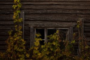 découvrez notre collection de cadres en bois élégants et durables, parfaits pour mettre en valeur vos photos et œuvres d'art avec une touche naturelle.