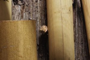 découvrez notre guide complet pour la construction d'un appentis en bois, alliant robustesse et esthétique naturelle pour votre jardin.