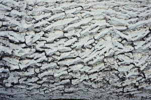 découvrez les avantages de l'isolation en cellulose : écologique, performante et économique pour améliorer le confort thermique de votre habitation.