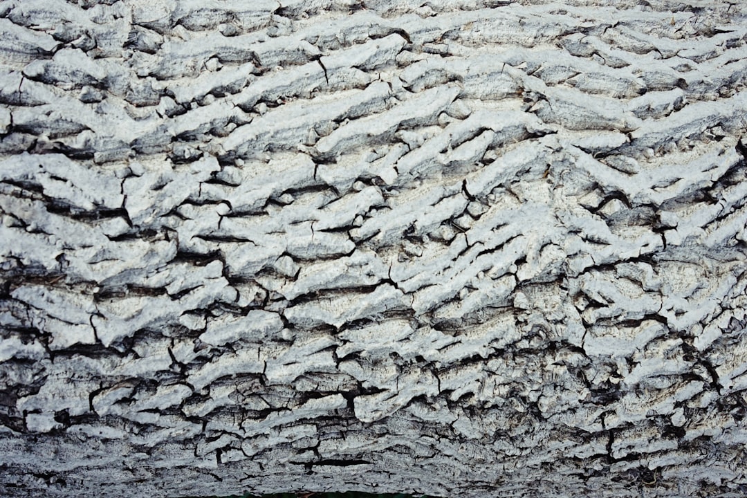 découvrez les avantages de l'isolation en cellulose : écologique, performante et économique pour améliorer le confort thermique de votre habitation.