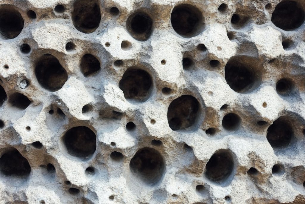 isolation en cellulose : solution écologique et performante pour améliorer l'efficacité énergétique de votre habitat tout en réduisant votre empreinte carbone.