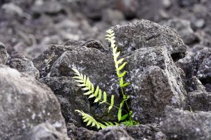 découvrez les inconvénients et les aspects négatifs liés au sujet pour mieux comprendre les désavantages potentiels.