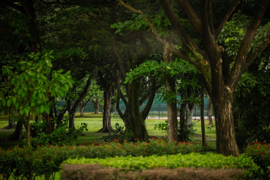 découvrez comment une ville éco-responsable intègre des pratiques durables pour préserver l'environnement tout en améliorant la qualité de vie de ses habitants.