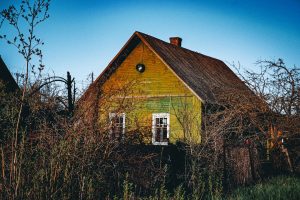 découvrez comment identifier et traiter la pourriture sèche dans une maison pour préserver votre habitation et assurer sa durabilité.