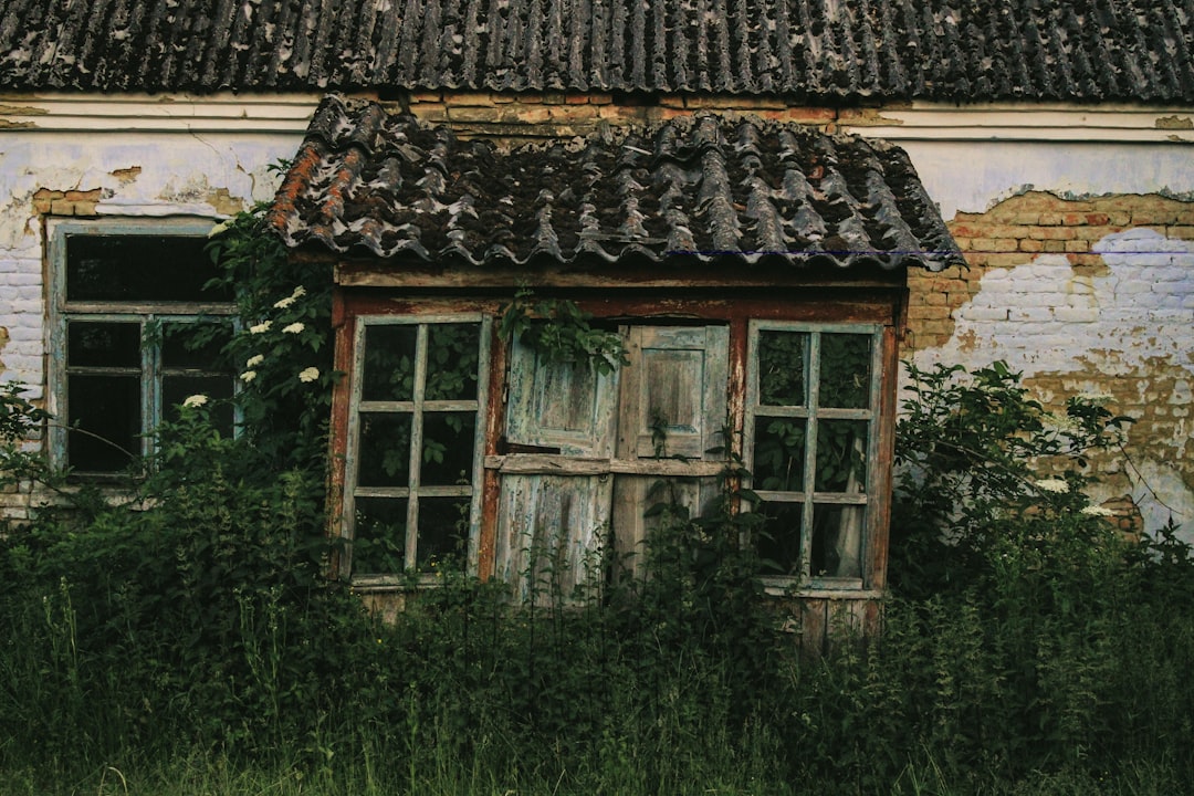 Peut-on vendre ou acheter une maison qui a la mérule ?