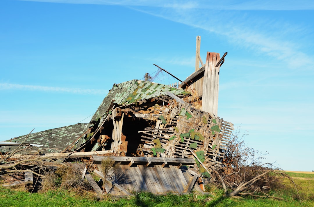 découvrez comment obtenir une compensation d'assurance pour les dommages causés par la mérule. guide complet sur les démarches et conseils pour votre indemnisation.