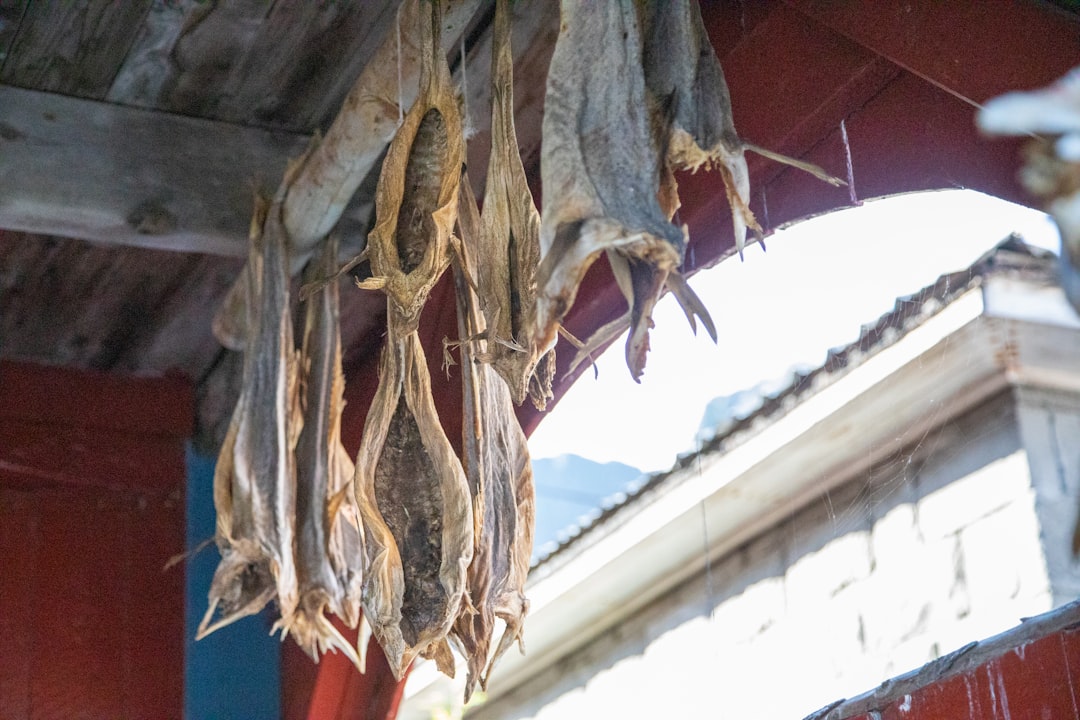 découvrez comment obtenir une indemnisation d'assurance pour les dommages causés par la mérule (dry rot) et protégez votre habitation efficacement.