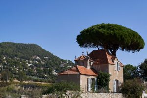 découvrez tout ce qu'il faut savoir sur la surface terrestre, ses différentes mesures et son importance dans l'aménagement du territoire et l'environnement.