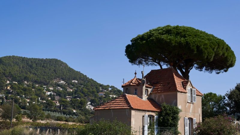 Que représente 300 m² de terrain ? : Conseils et astuces