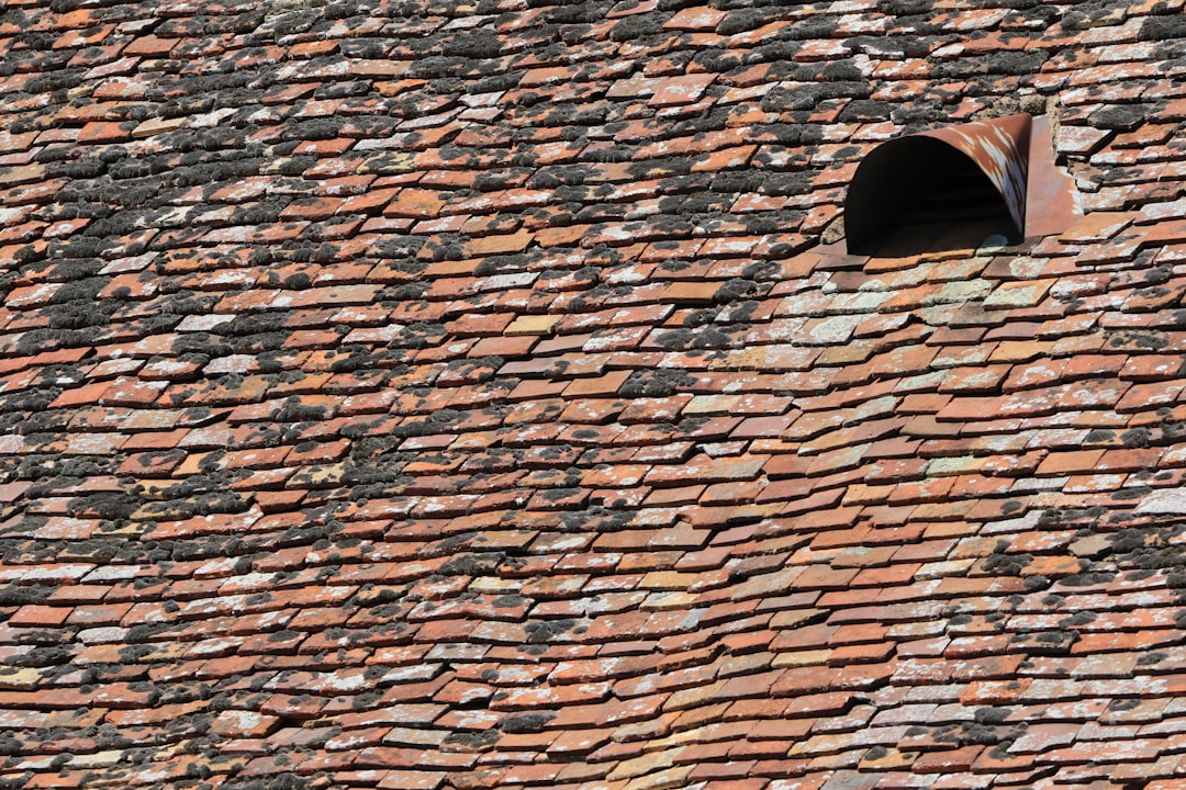 entretien de cheminée étanche : conseils et astuces pour assurer l'étanchéité, la sécurité et la durabilité de votre cheminée.