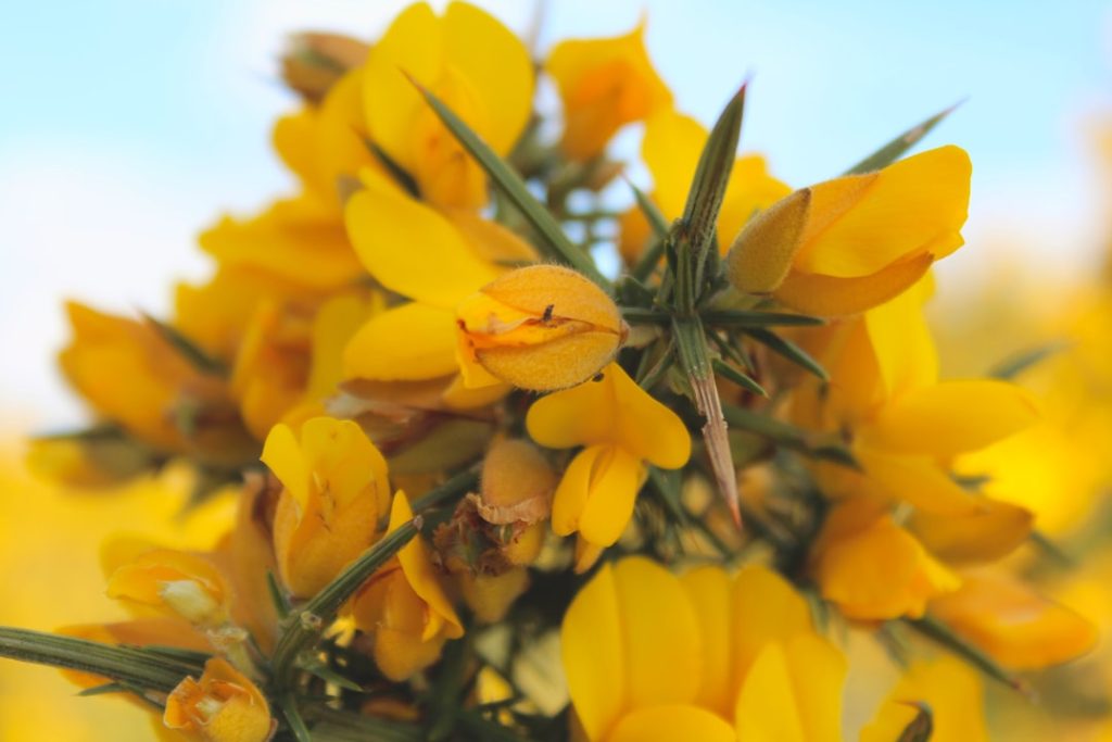 découvrez tout sur le sealing : techniques, applications et conseils pour une étanchéité optimale dans vos projets.