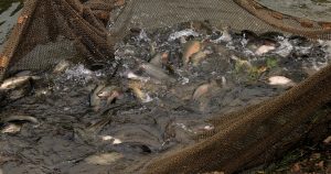 découvrez les critères et démarches pour bénéficier d'une exonération de la taxe d'assainissement, afin de réduire vos charges liées au service d'eau et assainissement.