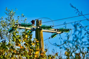 découvrez les solutions performantes d'isolation thermique pour améliorer le confort de votre habitat et réduire vos dépenses énergétiques.