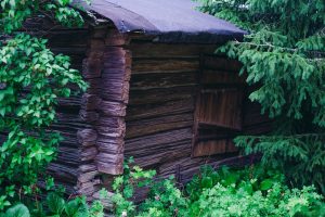 découvrez notre plan détaillé pour construire un abri en bois solide et esthétique, idéal pour protéger vos outils, animaux ou créer un espace extérieur fonctionnel.
