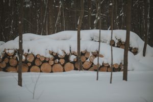 découvrez notre plan détaillé pour construire un abri en bois pratique et durable, idéal pour protéger vos outils et créer un espace extérieur fonctionnel.