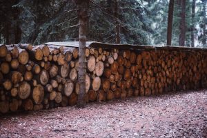 plan abri en bois : guide complet pour construire un abri solide et esthétique en bois, avec étapes détaillées et astuces pratiques.