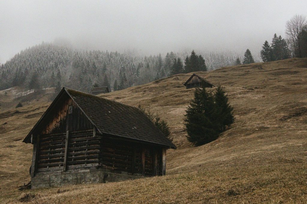 découvrez notre chalet habitable en bois alliant charme rustique et confort moderne, idéal pour une escapade nature ou une résidence agréable toute l'année.
