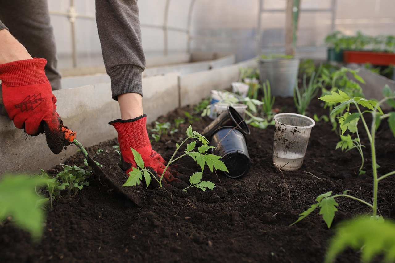 Quel éclairage solaire choisir pour un jardin de 400 m2 : comparatif utile